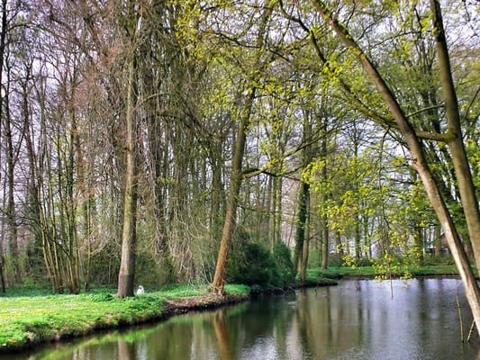 De Haar Castle by null