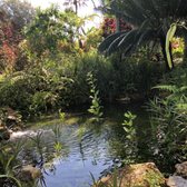 Photo of Harry P Leu Gardens - Orlando, FL, United States. Relaxing water sounds