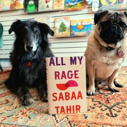 Mountain Shire Books & Gifts