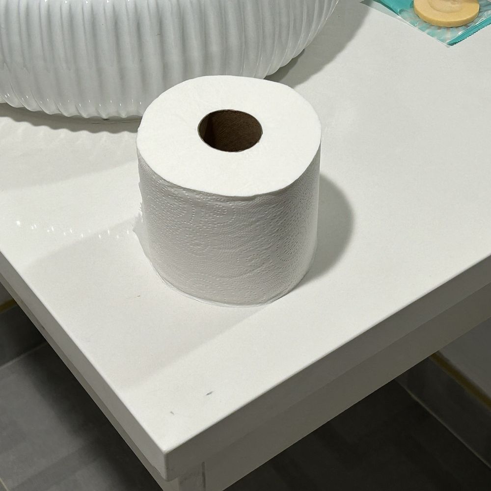 Costa Art Hotel - Toilet paper just laid on counter, no toilet paper roll holder anywhere to be found. - Hotels Near Me - Laguna Beach, California