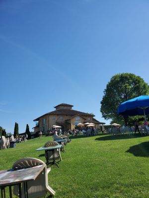 Blue Sky Vineyard by null