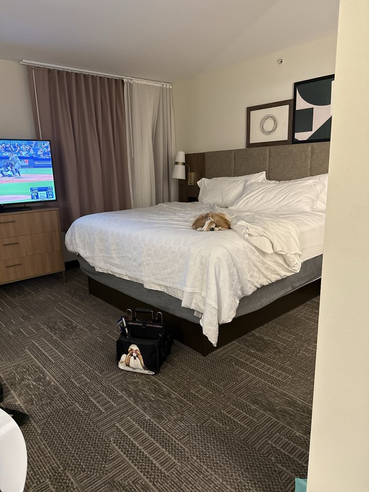 Staybridge Suites Toledo - Rossford - Perrysburg