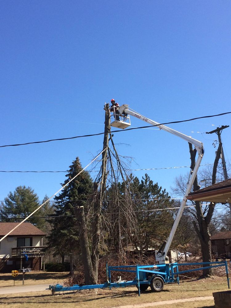 My Tree Guy - tree service in Hudsonville, MI