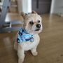 Photo of Quick Grooming Pet Salon
