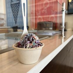 Mayday Ice Cream - Winterberry (pilot size) with homemade rainbow sprinkles