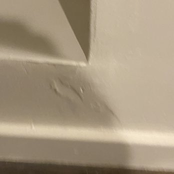 Ornamental Plaster Arts - Plaster has rips and bumps - Stucco Services Near Me - Seattle, Washington Ornamental Plaster Arts - Plaster has rips and bumps - Stucco Services Near Me - Seattle, Washington