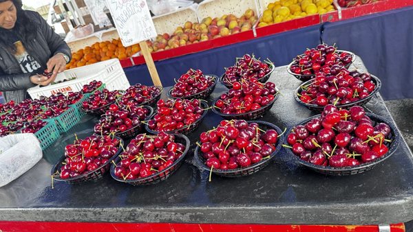 Napa Farmers Market by null