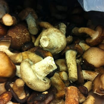 La Salsa Market - Fresh shiitake mushrooms mixed with another type. - Fruits & Veggies Near Me - Jacksonville, Florida La Salsa Market - Fresh shiitake mushrooms mixed with another type. - Fruits & Veggies Near Me - Jacksonville, Florida