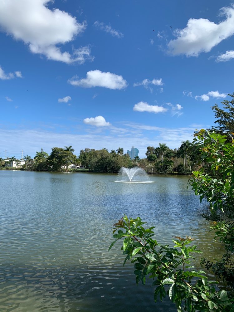 Sunny Lake Bird Sanctuary Image