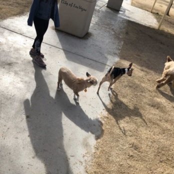 Barkin' Basin Dog Park - Dog Parks Near Me - Las Vegas, Nevada