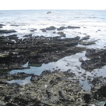 Eldwayen Ocean Park - Nearby tide pools. Check the local tide schedule best results. - Parks Near Me - Pismo Beach, California Eldwayen Ocean Park - Nearby tide pools. Check the local tide schedule best results. - Parks Near Me - Pismo Beach, California