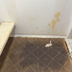 Peninsula Campground - Disgusting shower