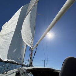 Mission Bay Aquatic Center - J24 Sailboat