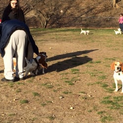 Connolly Dog Park - Plenty of room to sit too.