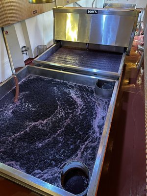 Quinta do Bomfim by null