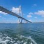 Photo of High Tide Harbor Tours
