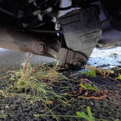 Julie's Towing - Same thing