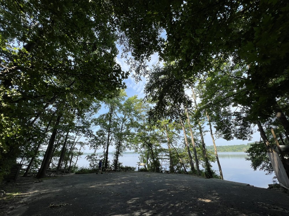 Anita C Leight Estuary Center Logo