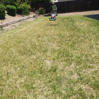 Sweet Home Landscaping - Landscaping Near Me