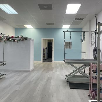 Pawsitive Vibes Pet Grooming - Pet Groomers Near Me - Melbourne, Florida