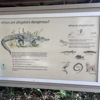 Myakka River State Park - Did you know? - Parks Near Me - Sarasota, Florida Myakka River State Park - Did you know? - Parks Near Me - Sarasota, Florida