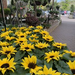 Brambridge Park Garden Centre - Venue entrance