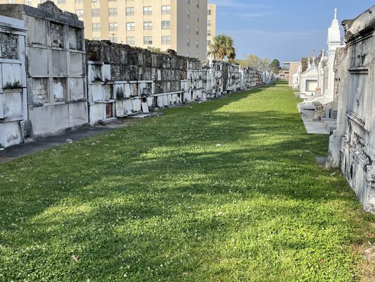 St. Louis Cemetery No. 3 by null