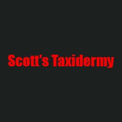 Scott's Taxidermy - taxidermy in Exeter, MO