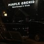 Photo of Purple Orchid