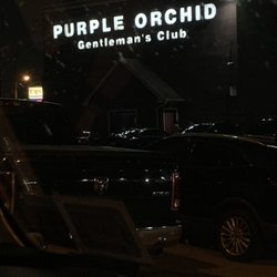 Purple Orchid - Exterior