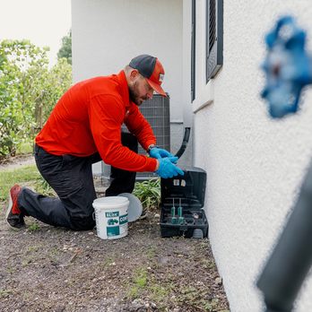 All U Need Pest Control - Pest Control Near Me - Ruskin, Florida All U Need Pest Control - Pest Control Near Me - Ruskin, Florida