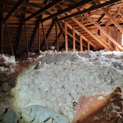Affordable Abatement - Attic with cellulose over asbestos vermiculite insulation.