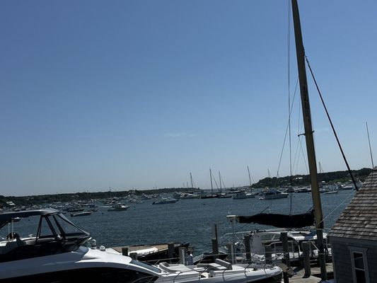 The Seafood Shanty by null