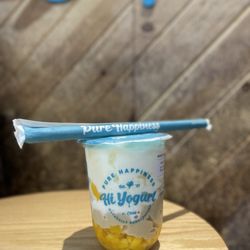 Hi Yogurt - Mango yogurt