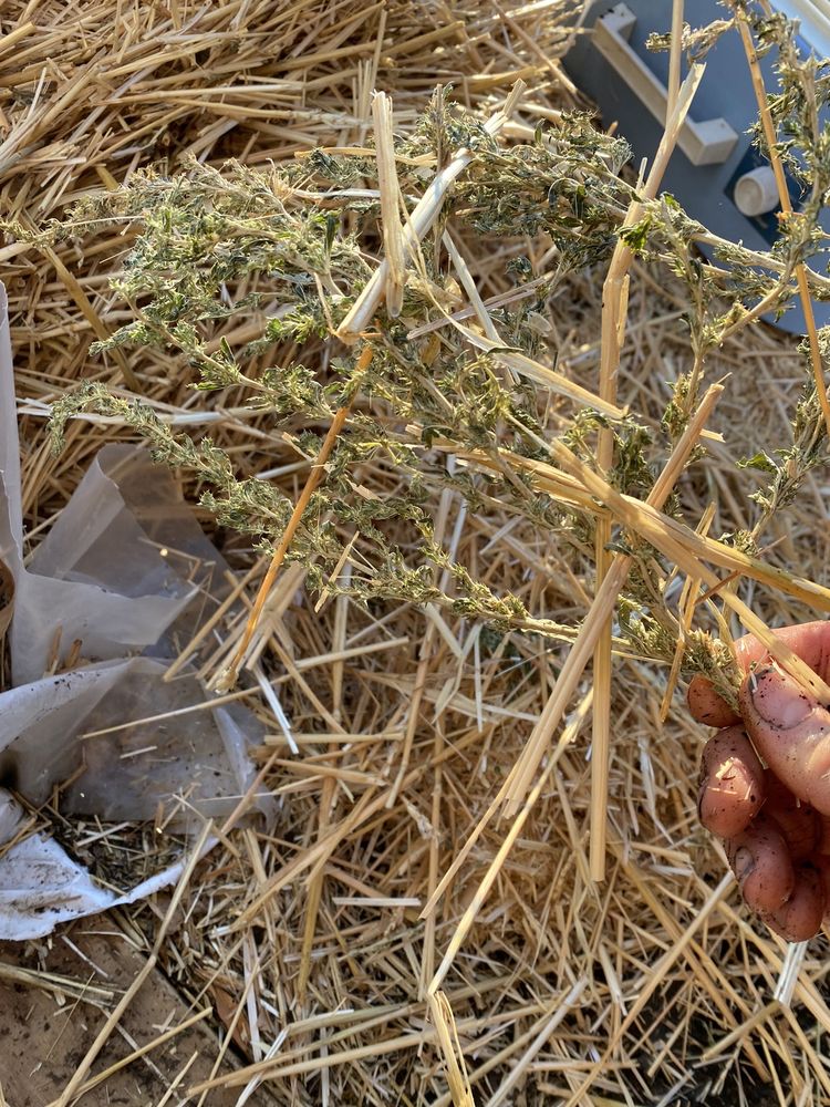 WARDLE FEED & PET SUPPLY Updated August 2024 122 Photos & 57