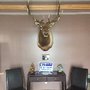 Elks Lodge 465 Elyria