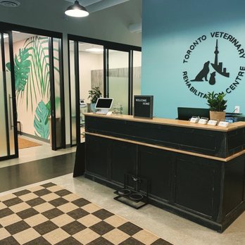 Toronto Veterinary Rehabilitation Centre - Reception and exam rooms - Veterinarians Near Me - Toronto, Ontario Toronto Veterinary Rehabilitation Centre - Reception and exam rooms - Veterinarians Near Me - Toronto, Ontario