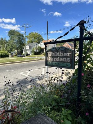 The Peggy, Walther Gardens Century Snowballs & Treats by null