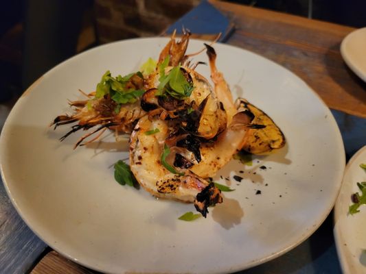 Milkflower by null Milkflower by null