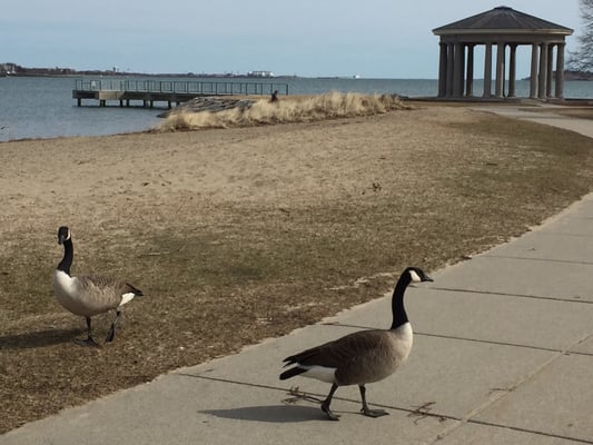 Carson Beach by null
