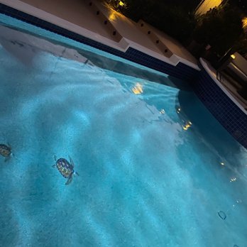 JP Pool & Spa Remodeling - Pool & Hot Tub Service Near Me - San Diego, California