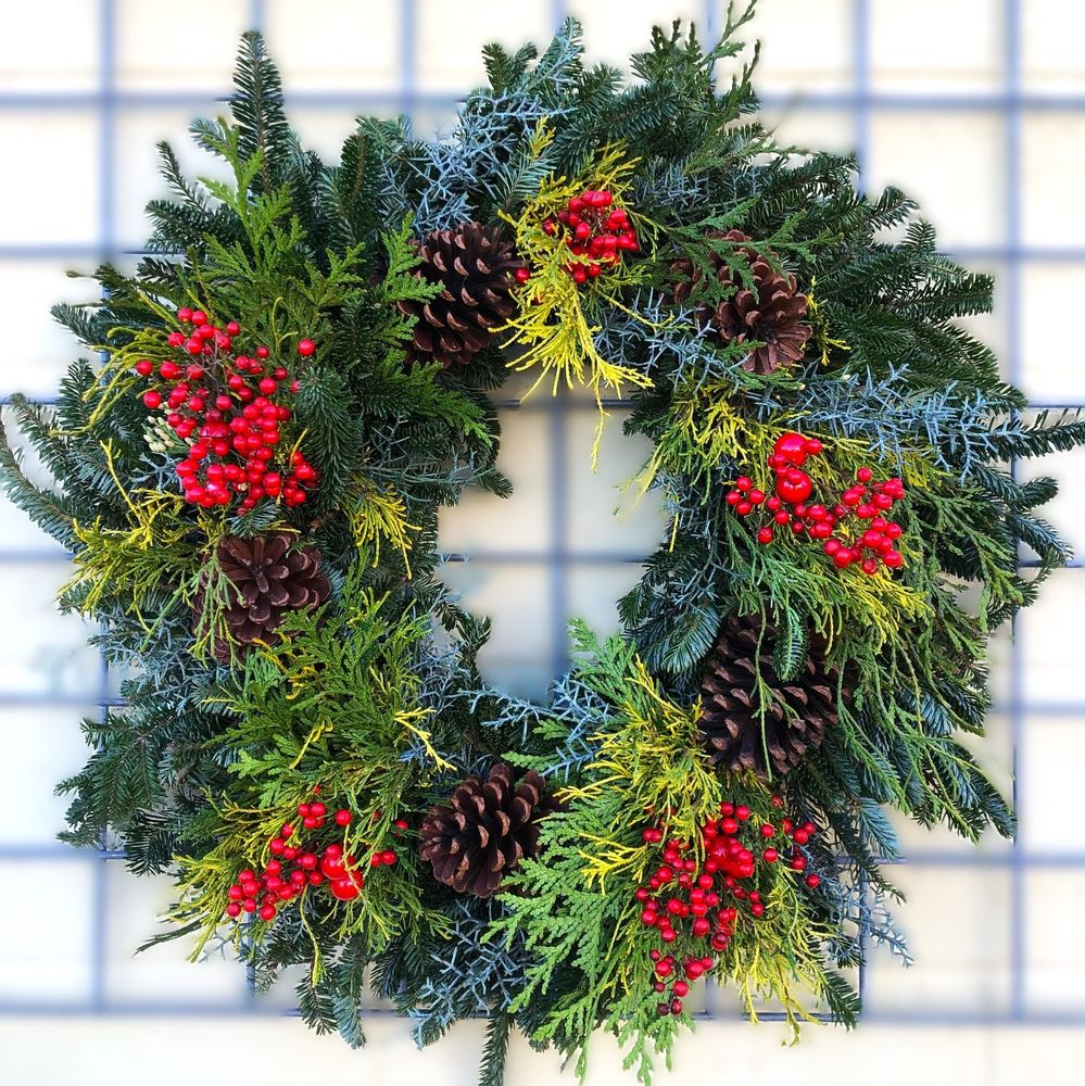 REEMS CREEK NURSERY Updated October 2024 34 Photos & 15 Reviews