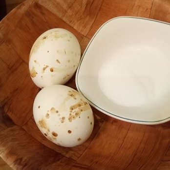 Irvine Spa - Eggs - Day Spas Near Me - Irvine, California Irvine Spa - Eggs - Day Spas Near Me - Irvine, California