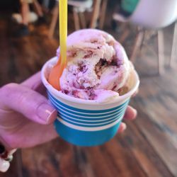 Castillo Ice Cream - Loved the road runner raspberry!