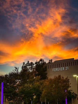 The Shops at Santa Anita by null