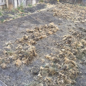 Ochos Landscaping - Irrigation Near Me Ochos Landscaping - Irrigation Near Me