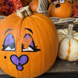 Balducci's - Cute & funny pumpkins! :-D
