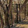 Photo of Amendola's Fence