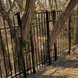 Amendola's Fence - fence built around trees