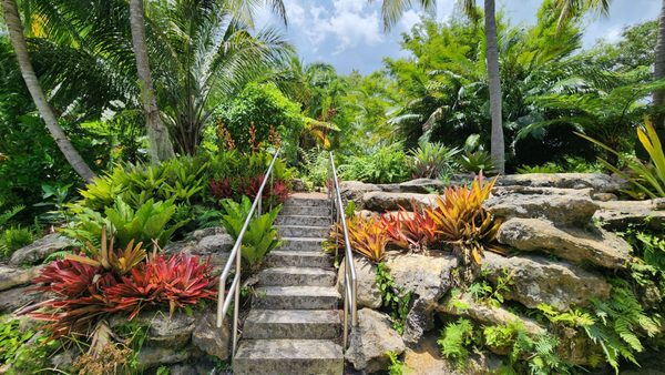 Mounts Botanical Garden by null